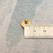 Load image into Gallery viewer, Leather Craft Bag Decoration Soild Brass Hook Decoration Deutsche Lock Decoration, suitcase buckle,Bag Making Suppliers Leather craft tools MLT-P0000DPI