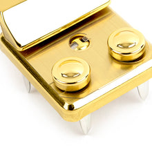 Load image into Gallery viewer, AMIET Key Lock/ M 32703.235 MGS/ High Quality Key Locks / Flip Locks For Bags, suitcase buckle,Bag Making Suppliers-MLT-P0000CLD