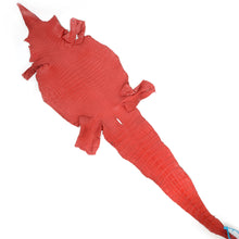 Load image into Gallery viewer, Genuine Crocodile Leather -Red (Genuine leather) for Bags, Journaling, Purses, Cuffs, Heels MLT-P0000CSV