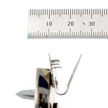 Load image into Gallery viewer, AMIET Key Lock/ M 40888.313 MNGS / High Quality Key Locks / Flip Locks For Bags.