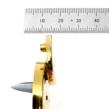 Load image into Gallery viewer, AMIET Key Lock/ M39112.357 MGS / High Quality Key Locks / Flip Locks For Bags, suitcase buckle