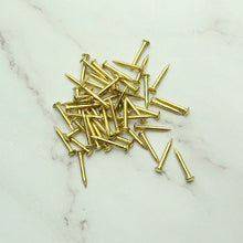 Load image into Gallery viewer, 50pcs or 500pcs Solid Brass Tack Nails, MLT-P0000DFK