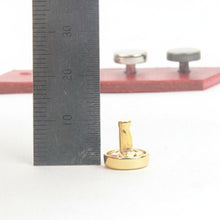 Load image into Gallery viewer, High quality Flat Cap Rivets (10set) – 9.5mm Zinc Alloy Studs, DIY Leather Accessories MLT- P0000BNJ
