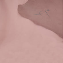 Load image into Gallery viewer, GOATSKIN Leather [Light Pink] 4~5 sq ft, Finished Goatskin Leather (NOT Cutting size,4~5 sq ft overall) Leather crafting MLT- P0000BVI
