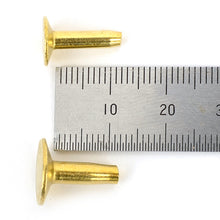 Load image into Gallery viewer, High quality Brass Rivets &amp; Burrs Rivets (9mm/12mm) Leather DIY making asscessories(20set)-MLT-P0000CMJ
